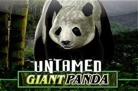 Подборка игровых автоматов с пандами 14 Подборка игровых автоматов с пандами