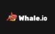 Whale Casino